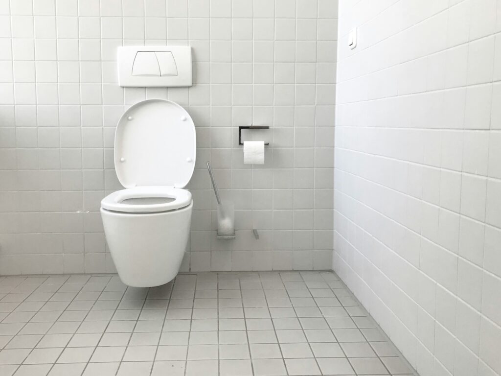 Un grand nettoyage des sanitaires et des WC à romans Sur Isère pour un résultat impeccable